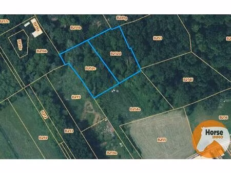 oordegem – bos van 38a 10ca