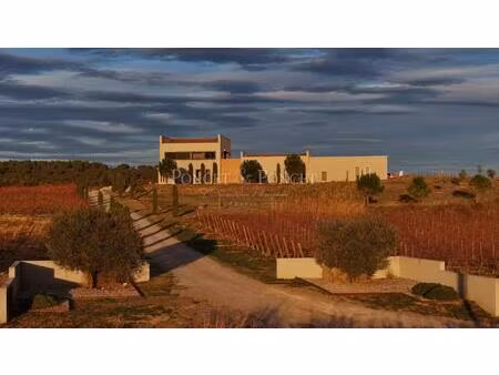 propriété viticole moderne en terrasses de larzac