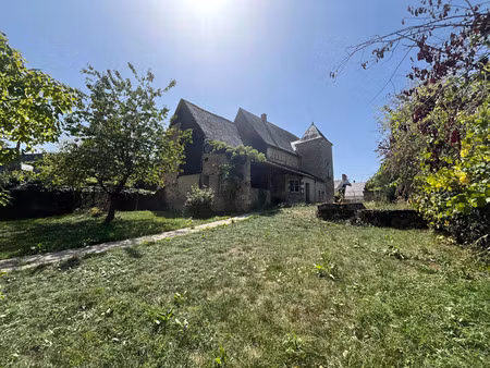 vente maison 7 pièces 248 m² henrichemont (18250)