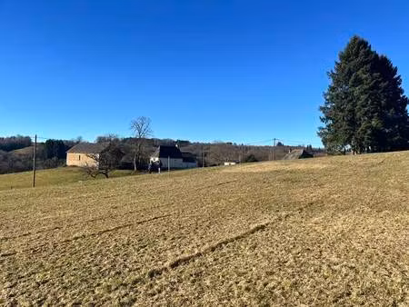 vente terrain 2956 m² argentat-sur-dordogne (19400)