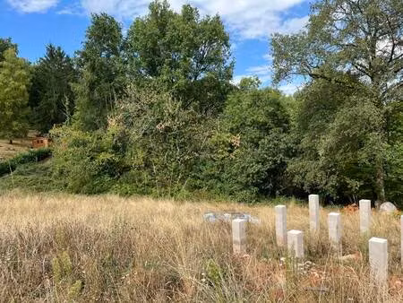 vente terrain 7640 m² meyssac (19500)