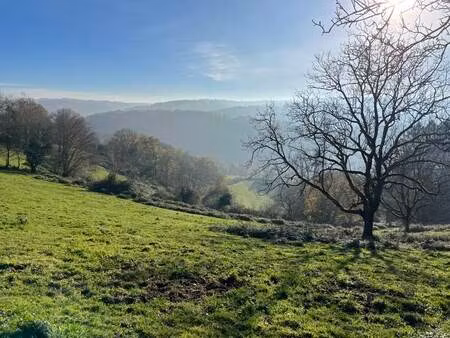 vente terrain 20241 m² beynat (19190)