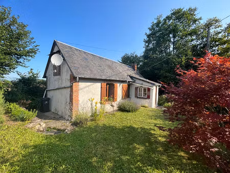 vente maison 2 pièces 45 m² oizon (18700)