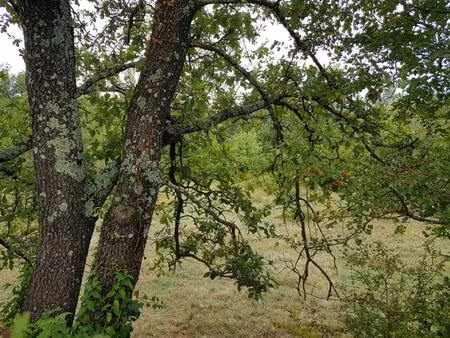 terrain à bâtir 550 m2