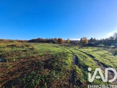 vente terrain aux essards (17250) : à vendre / 1960m² les essards