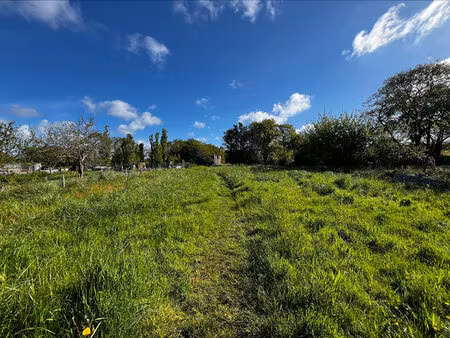 vente terrain  854.00m²  donges