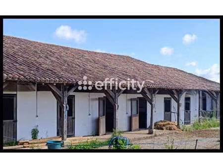 vente maison à boscamnant (17360) : à vendre / 415m² boscamnant