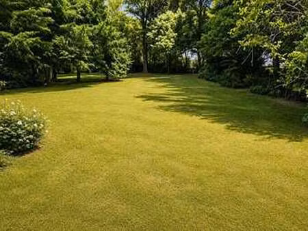 vente terrain à meschers-sur-gironde (17132) : à vendre / 820m² meschers-sur-gironde
