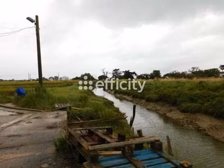 vente bureaux et commerces à dolus-d'oléron (17550) : à vendre / 70m² dolus-d'oléron