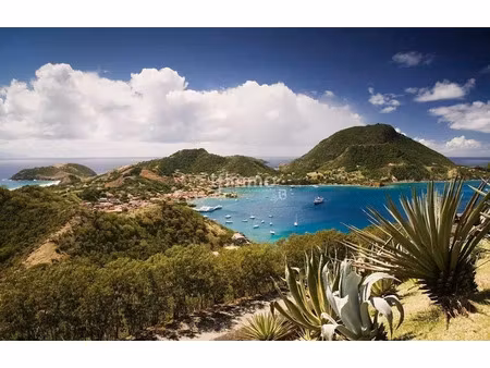 vente propriété 12 pièces 624 m² à terre de haut (97137)  3 900 000 €