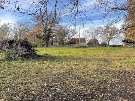 vente terrain 2960 m² saint-sylvestre-pragoulin (63310)