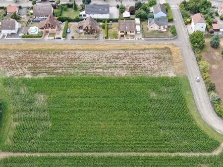 vente terrain 451 m² algolsheim (68600)