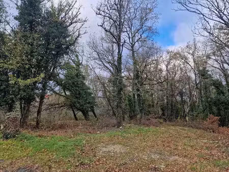 vente terrain 767 m² à chasteaux (19600)  26 000 €