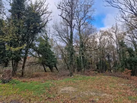 vente terrain à batir 767 m² à chasteaux (19600)  26 000 €