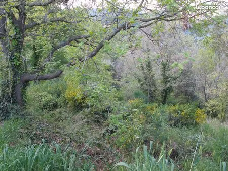 terrain hauteur de pégomas