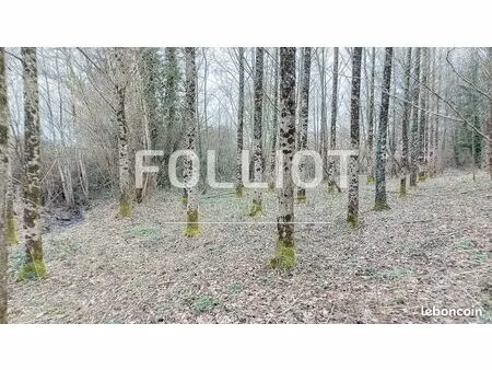 terrain 2217 m² hocquigny