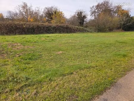 terrain constructible