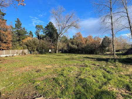 terrain saint jean de monts 481m2