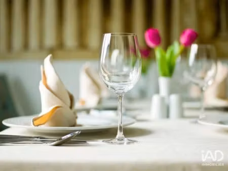 vente locaux professionnels 150 m² à loches (37600)  132 000 €