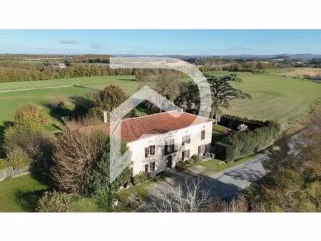 stéphane plaza castres