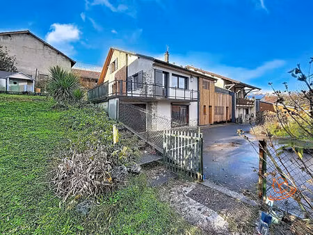 maison peron 9 pièce(s) 300 m2