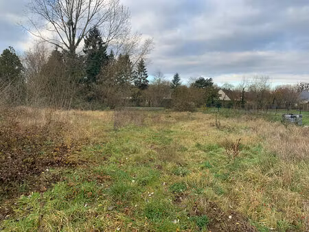 terrain constructible