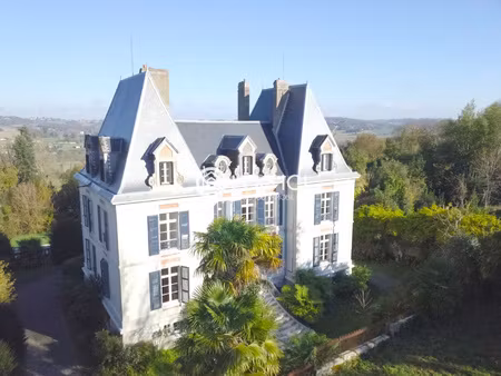 château époque napoléon iii à seulement 10 minutes de salies
