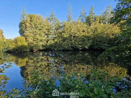 vente terrain à nieul-le-dolent (85430) : à vendre / 5368m² nieul-le-dolent