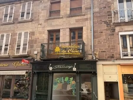 immeuble 100 m² luxeuil les bains