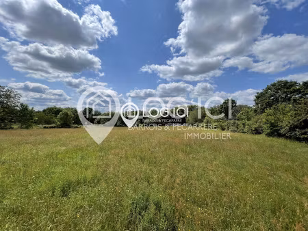 terrain constructible