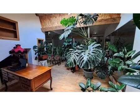 marchand aline agent mandataire optimhome