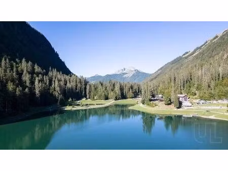 chalet de prestige de 5 pièces en vente montriond  auvergne-rhône-alpes