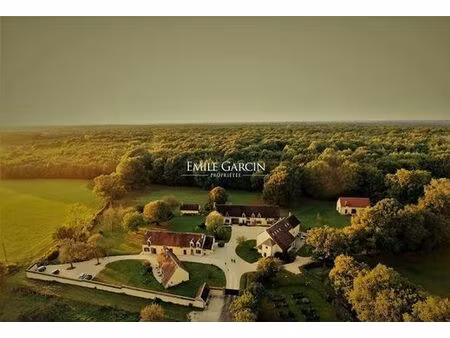 maison de luxe de 30 pièces en vente à mézilles  france
