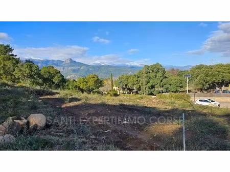 terrain - sari-solenzara  france