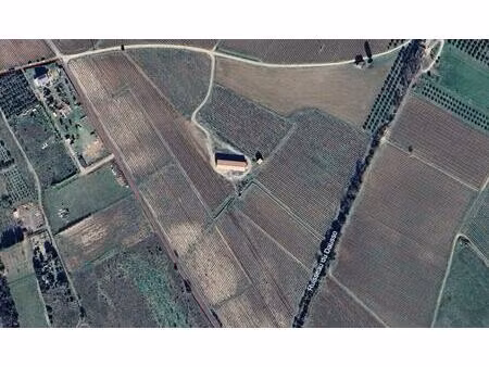 propriété viticole