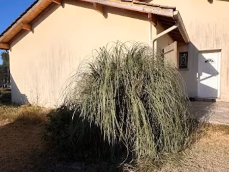 vente maison 6 pièces 125 m² à moustey (40410)  279 000 €