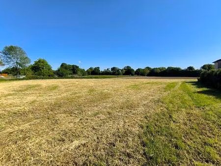 terrain songeons 971m2