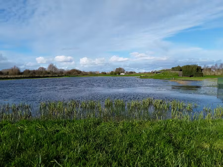 achat terrain 12 000m² saigneville 80230