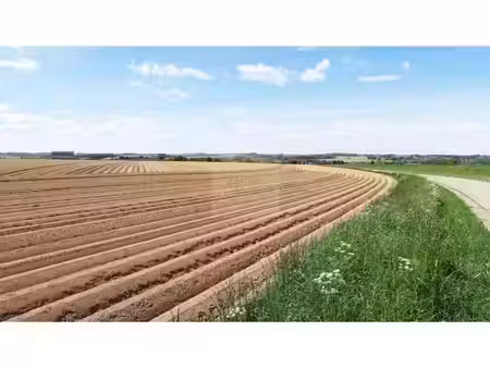terrain agricole à vendre de 160074 m² à philippeville (vbd60235)