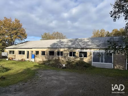 vente bureaux et commerces à mauves-sur-loire (44470) : à vendre / 400m² mauves-sur-loire