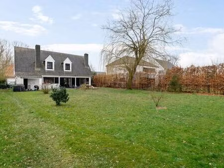 maison à vendre à halle (li8jo) - yves van pelt immobiliën | zimmo