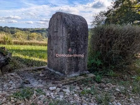 pierre michot dr house immo