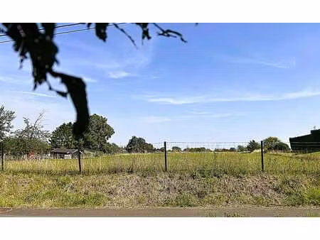 superbe terrain à bâtir - 38 46 ares- largeur façade 38 m.