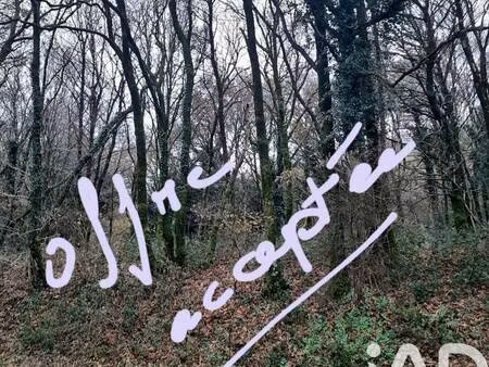 propriété de loisirs à vendre