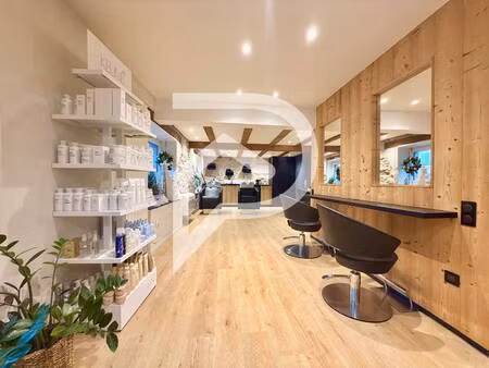 stephane plaza immobilier colmar -sud