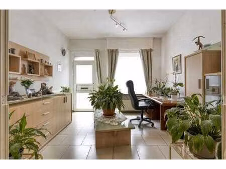 verzorgde burgerwoning met tuin  garage achteraan