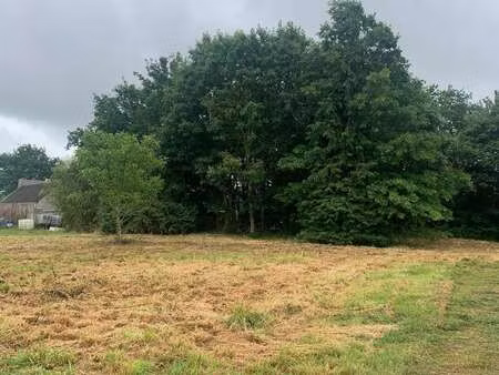 vente terrain à drefféac (44530) : à vendre / drefféac