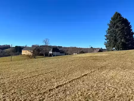 vente terrain 2956 m² à argentat-sur-dordogne (19400)  30 000 €