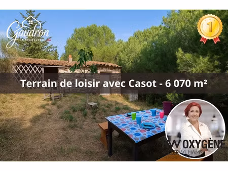 vente terrain 6070 m² à montner (66720)  39 000 €