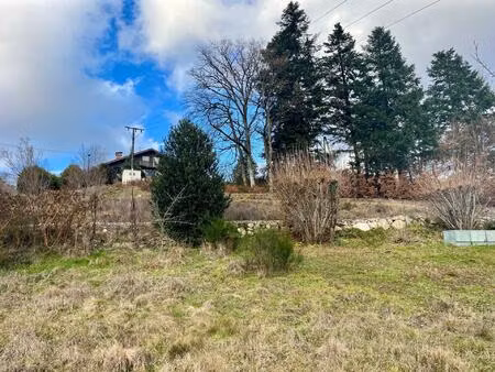 vente terrain 1205 m² saint-nabord (88200)